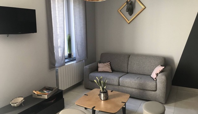 Gîtes de la Frérie - Le Florentin (16 minutes from the Puy du Fou)