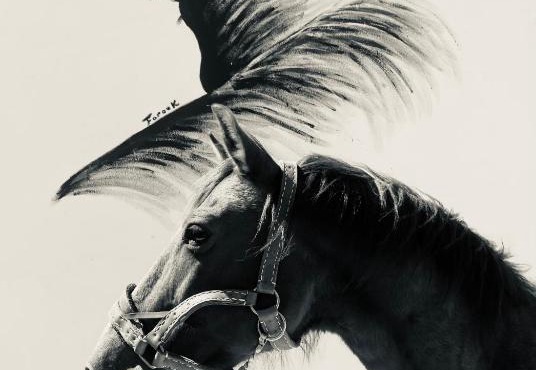 Gîtes Equestres Lou Caloun - Les Saintes Maries de la Mer