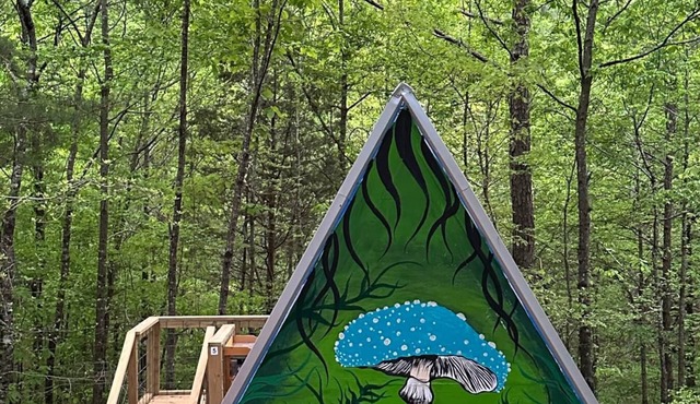 G-5 Glamp in Bohamia - 268 acre forest retreat