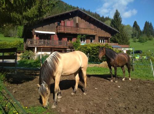 Gaïana - Terre des Possibles