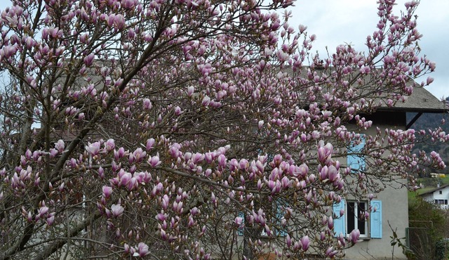 Gab's HouseVallée the heart of the Arve Valley