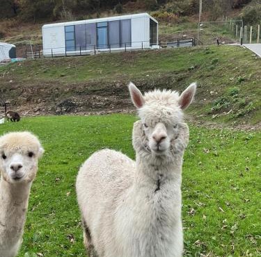 Galactic getaways MARS