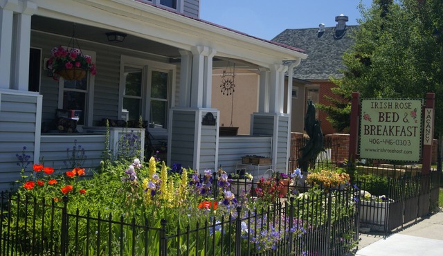 Gallagher's Irish Rose