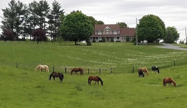 Galloping Getaway on the rolling hills of GemStone Stablen