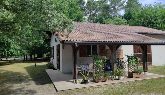 Gambade - Ste-eulalie-en-born