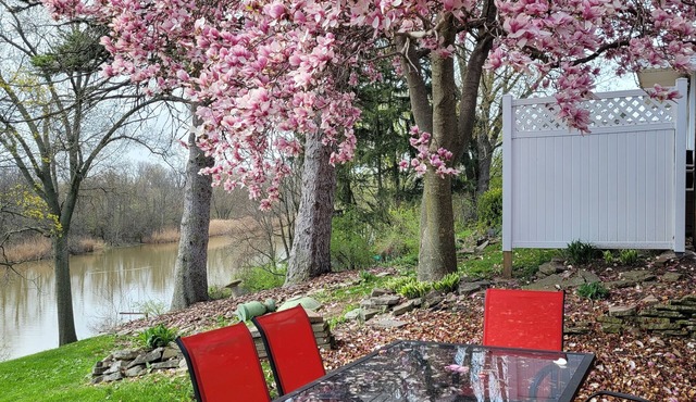 Game Room, Bar, Dock and River Patio
