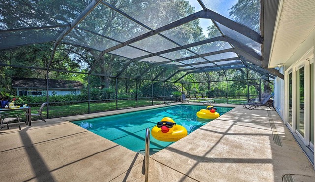 Game Room & Pool: Huge Lutz Family Retreat