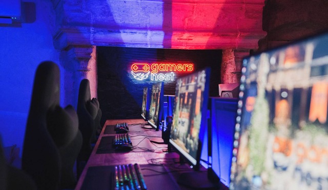 Gaming gîte for 12 people in Vivonne