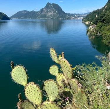 Gandria Stanza con Cucina e Bagno Privato
