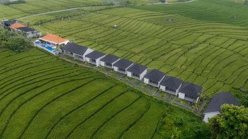 Gangga Homestay Pererenan