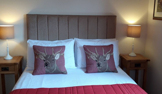 Garden Annexe - Superior Apartment