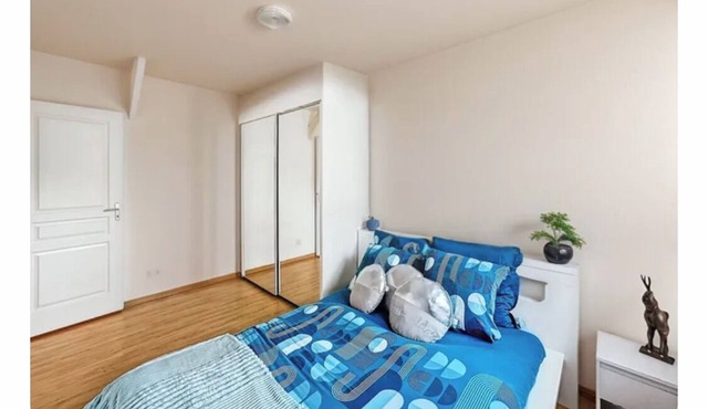 Garden apartment sleeps 3 Near eurexpo groupama stadium