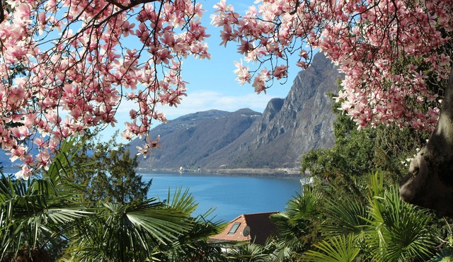 GARDEN-apartment Castagnola-near lakeindoor-pool,aircondition,lakeview, with dog