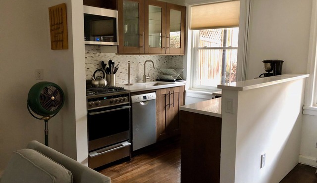 Garden apartment opposite historic Fort Greene Park