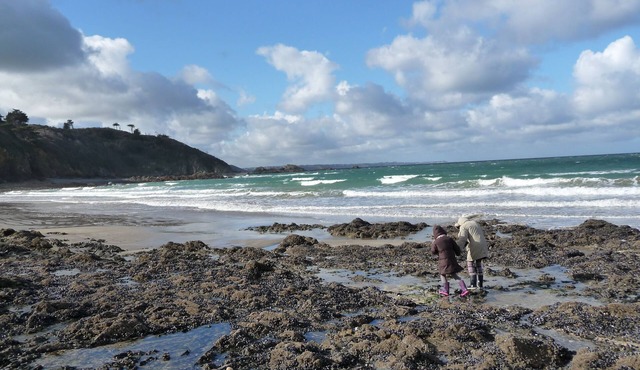 Garden Apartment - Rosaries at Plérin sur Mer
