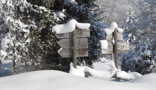Garden charming appartment, in front of Mont Blanc range