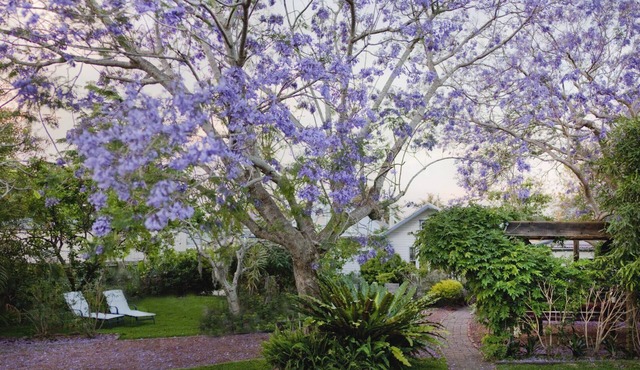 Garden Cottage - 40B Witt Street