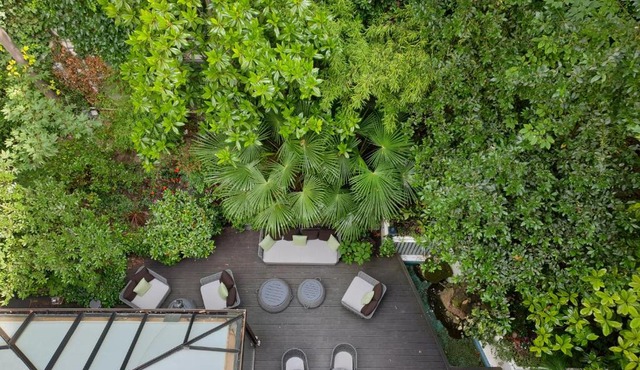 Garden-Elysée