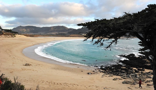 Garden home a block from the beach