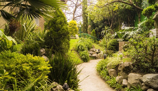 Garden House Welcome to San Ángel