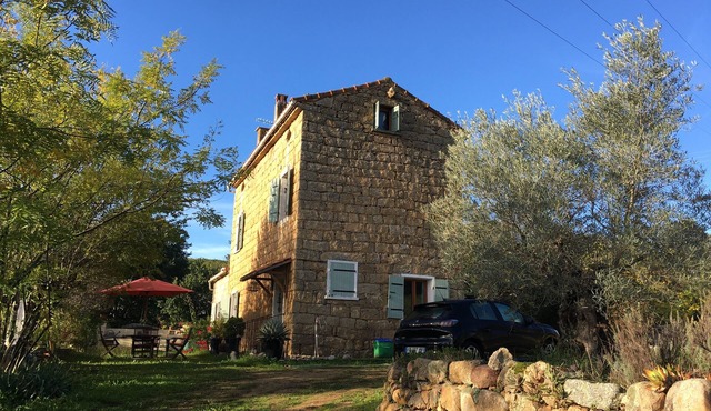 Garden level for rent in house.