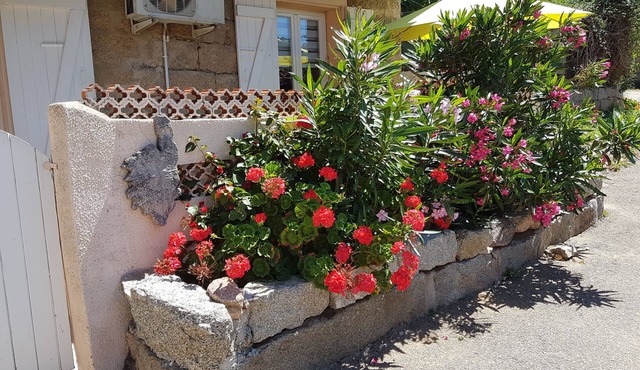 Garden level in typical Corsican house Monacia d'Aullène