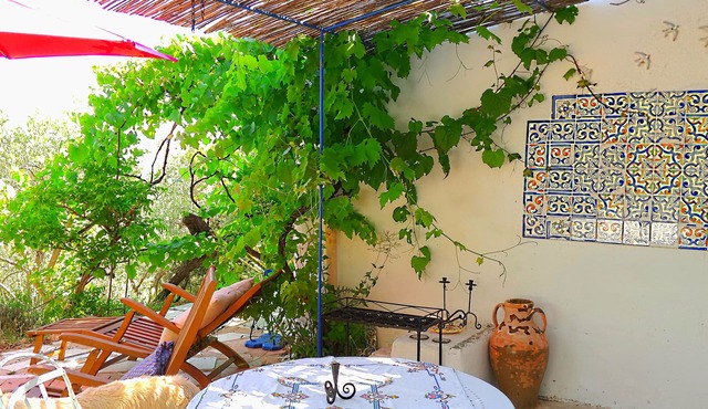 Garden level in an artist's house