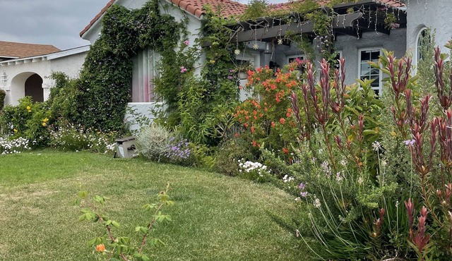 Garden oasis - 4 bedroom home centrally located
