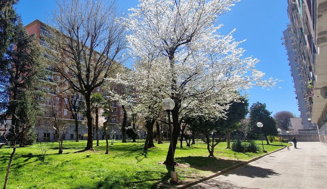 Garden on the Naviglio