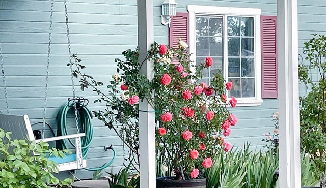 Garden Room at Bed & Breakfast