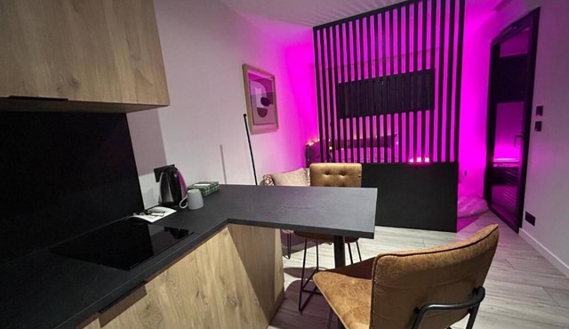 Garden studio with pool view