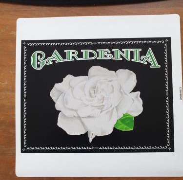 Gardenia