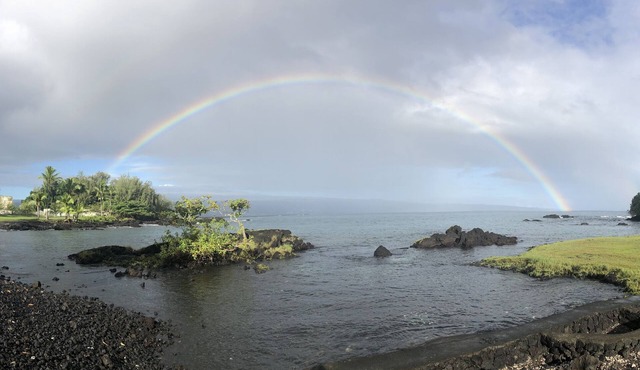 Gardenia Studio, unit # 5