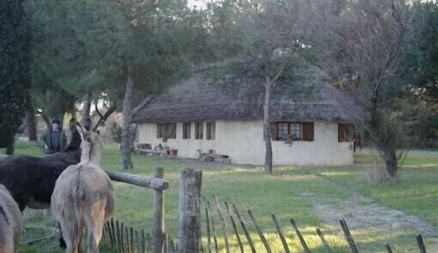 Gardian Aigues Mortes cabin-style house rental