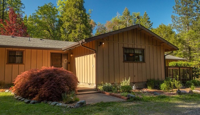 Garner House: Secluded woodland home; spacious & comfortable, in natural setting