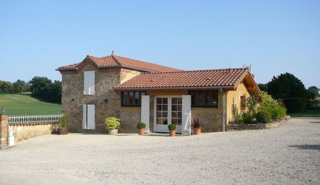 Gascon du Saby - HONTANX