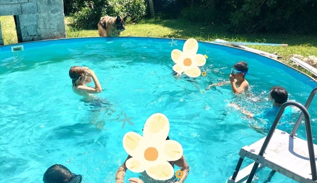 Gascon house in the heart of nature, animals and the Gercia vineyards!