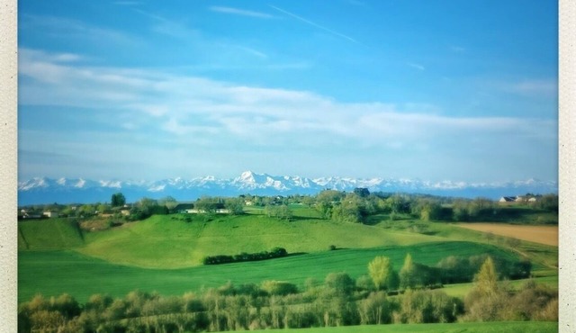 Gascony house in absolute peace and quiet