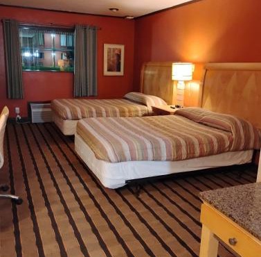 Gated - 2 Double Bed Studio with Full Kitchen 114