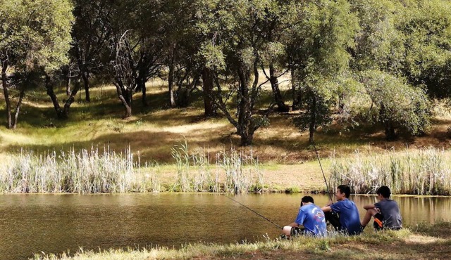 Gated Family Friendly Waterfront Guest Suite