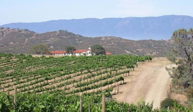 Gated Mediterranean villa surrounded by vineyards near Pinnacles National Park.