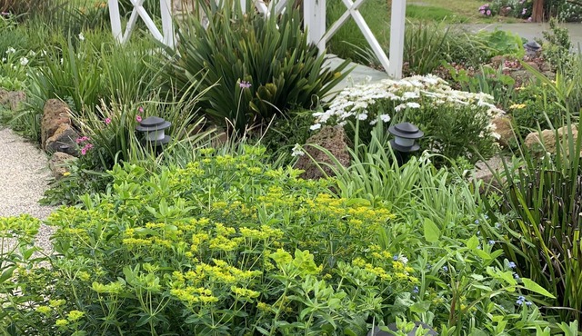 Gateway to Geelong! Inda's Place is your second home