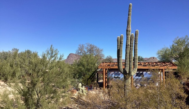 Gateway to Saguaro National Park - Desert Solitaire - Vintage Lola