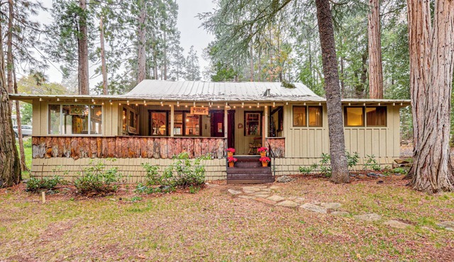 Gateway to Sequoia Nat’l! Rustic Cabin w/Patio