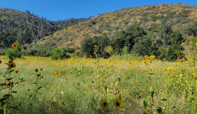 Gather your party for an escape with amazing views, situated on 100+ acres.