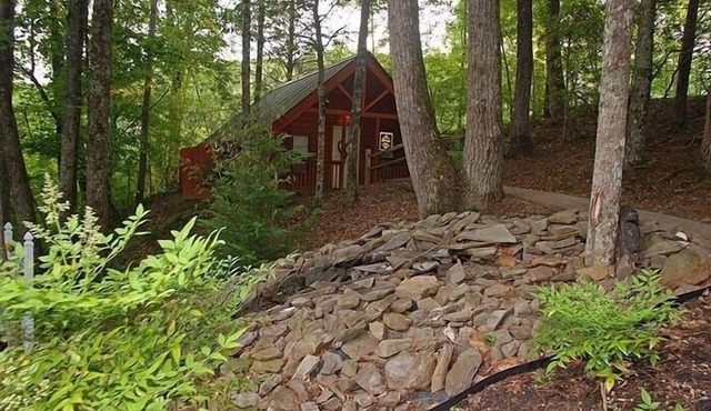 Gatlinburg Cabin Tickets Mtn View Heart Whirlpool Hot Tub King Bed Fast Internet