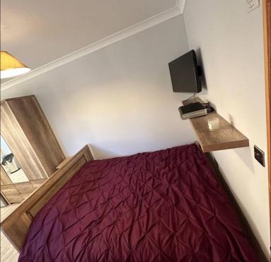 Gatwick Cosy Apartment