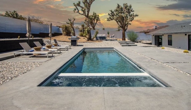 GazerRanch JOSHUA TREE