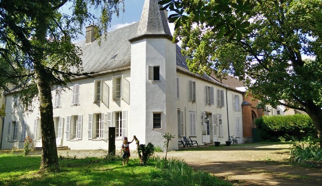 Geek Castle in Seurre: 30 beds, 12 bedrooms, arcade terminals and pinball machines