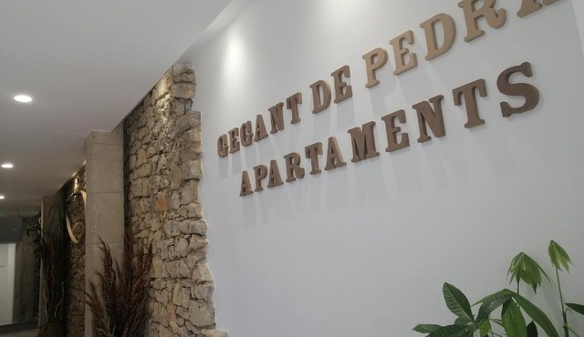 Gegant de Pedra Apartaments